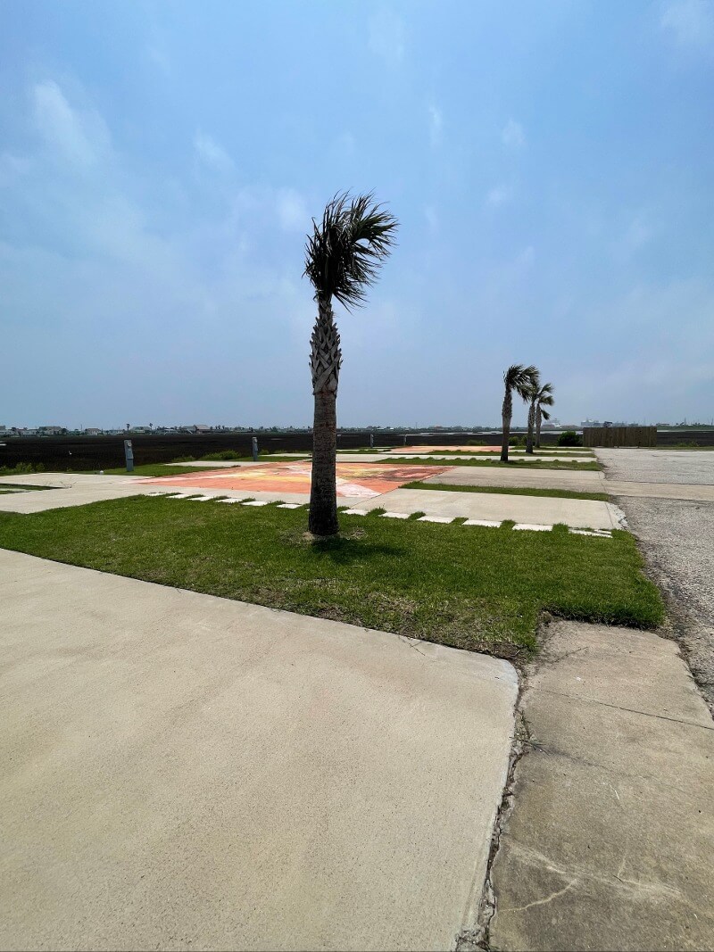 A row of concrete RV parking spots with palm trees at Surfside Marina and Service Center